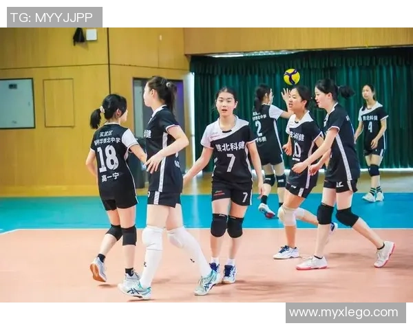 南京排球队在全国排球团队协作排行榜中荣获第4名的佳绩分析