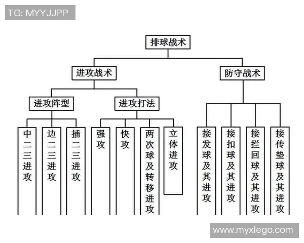 南京排球队快攻战术解析与深度剖析之旅