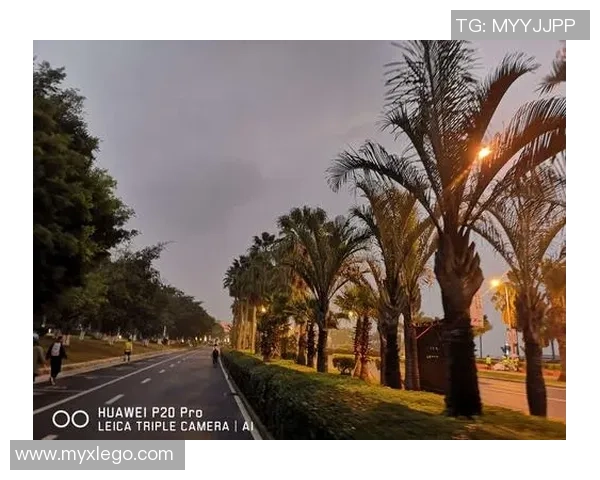 南京滑板队勇闯马拉松大满贯的奋斗与荣耀之路