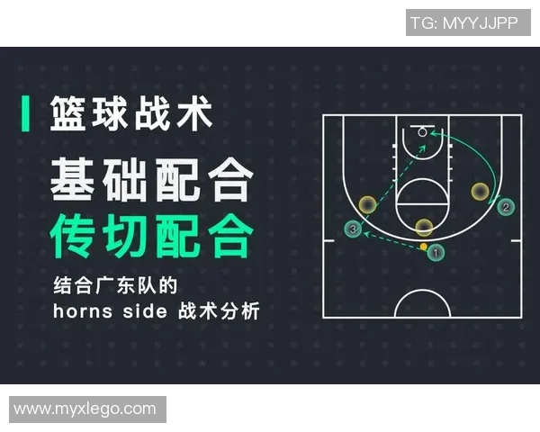 南京羽毛球队战术解析：深度剖析团队配合与个人技术的完美结合